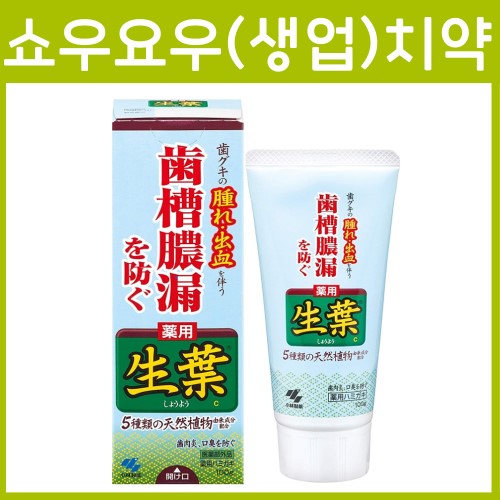 쇼요(생엽)치약 100g
